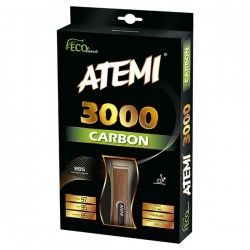 3000
