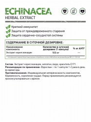 ECHINACEA-ehinaceia-_366144