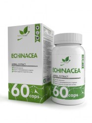 ECHINACEA-ehinaceia-_36614