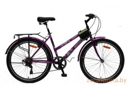 kopiya-(2)-img_9552-copy-velosiped