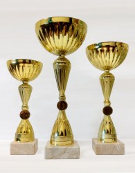 trophey_052
