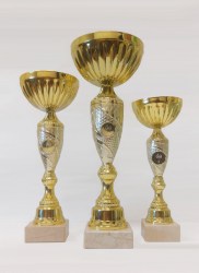 trophey_3