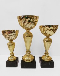 trophy0119