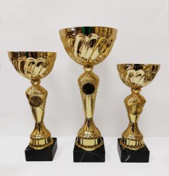 trophy0219