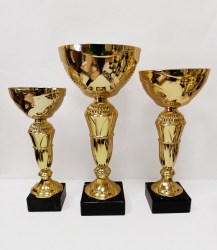 trophy0319