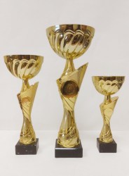 trophy043