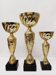 trophy7198