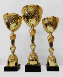 trophy_030
